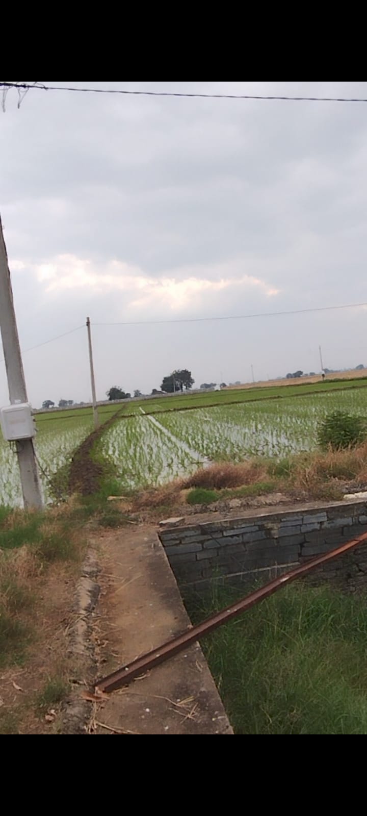 Farmers_Home Gallery Image