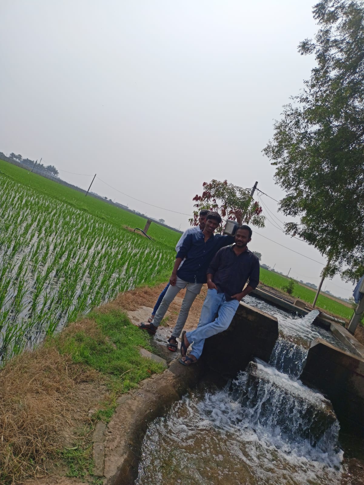 Farmers_Home Gallery Image