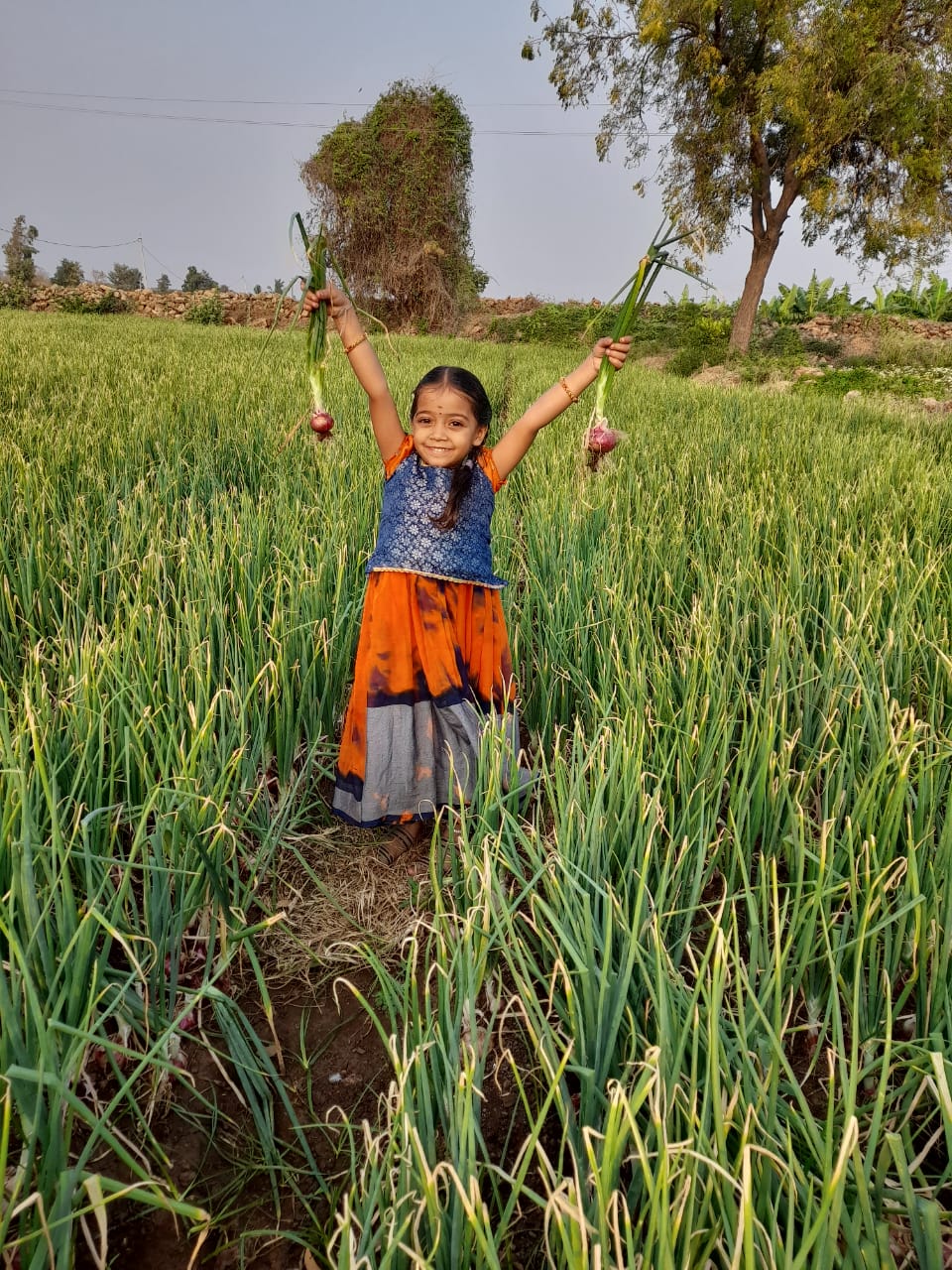 Farmers_Home Gallery Image