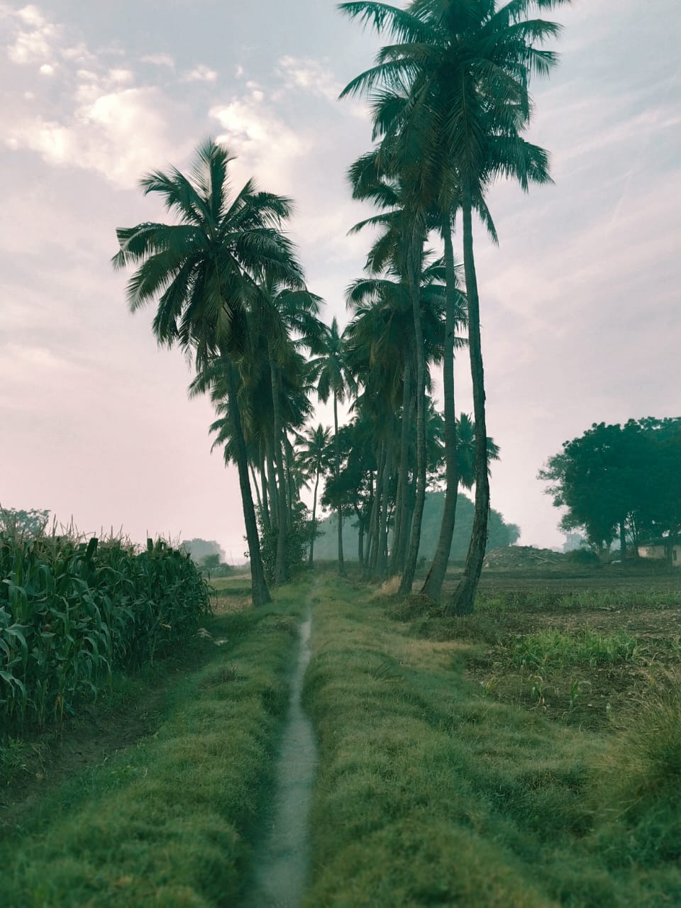 Farmers_Home Gallery Image